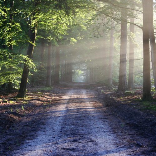 Weather Forecasting: Traditional methods meet Sipremo innovation