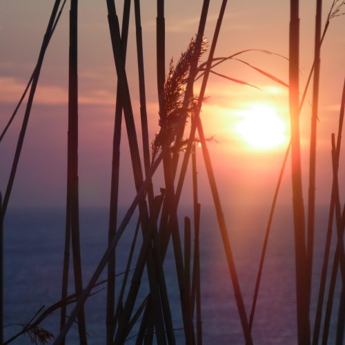 Sipremo: A Beacon of Hope for Public Health Amidst Climate Challenges